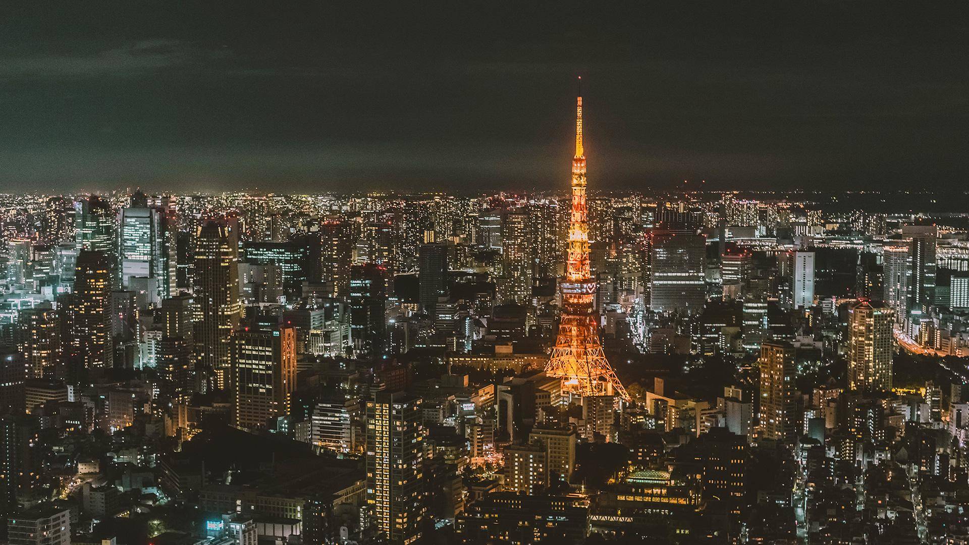儒义专注男士高端定制游